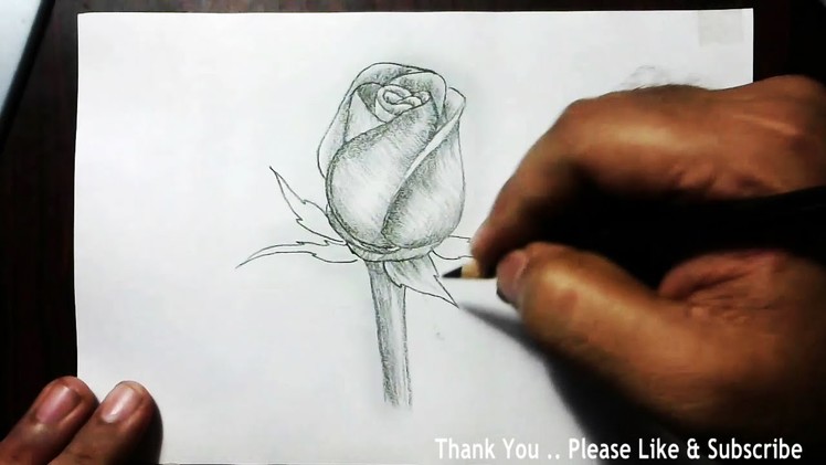 How to Draw a Beautiful Rose using charcoal pencil