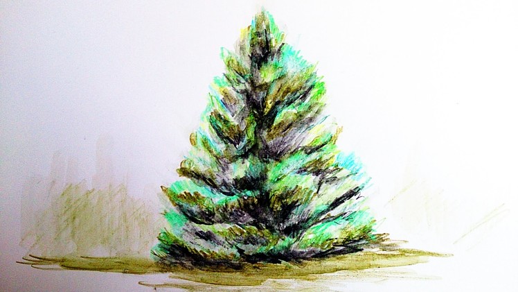 How to paint realistic tree with watercolor pencils, Step By Step, Narrated Full Time Video