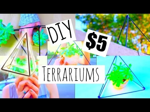 DIY $5 NO GLASS TERRARIUMS