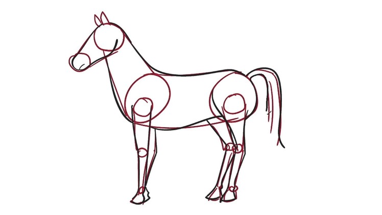 07 Learn how to draw a Horse the easy way for kids