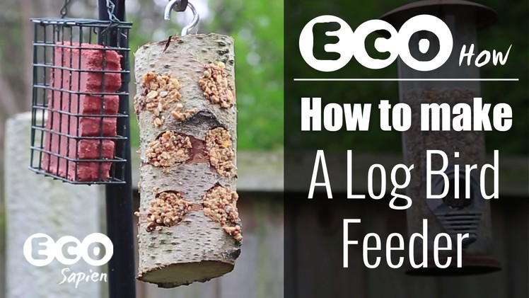 Eco How - How to make a  log bird feeder