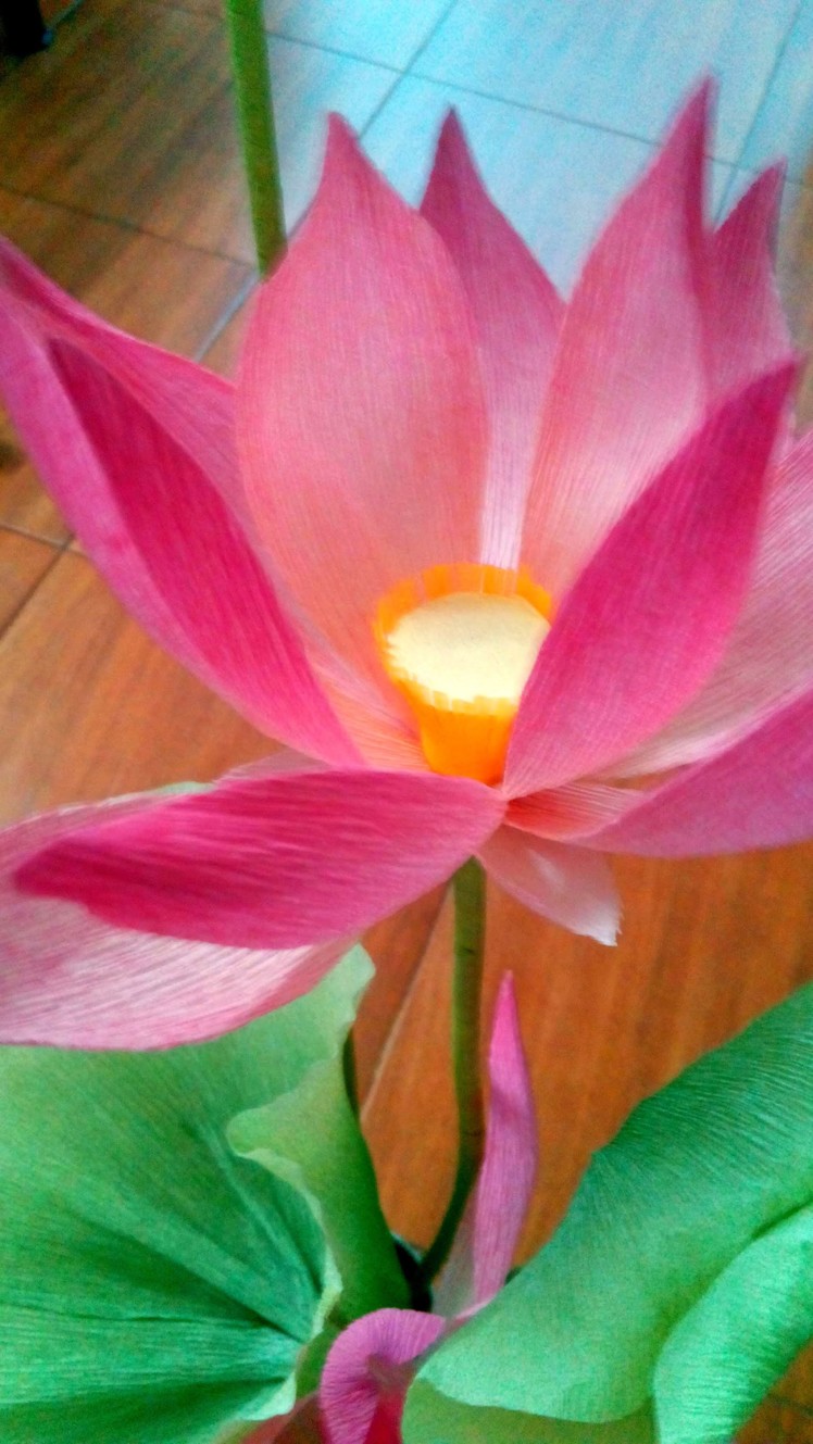 Hoa sen giay nhun   How to make a Paper Lotus & Leaf Part  I