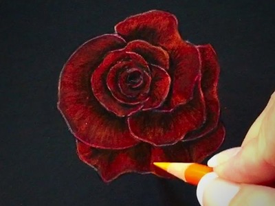 How to Draw a Rose Tutorial