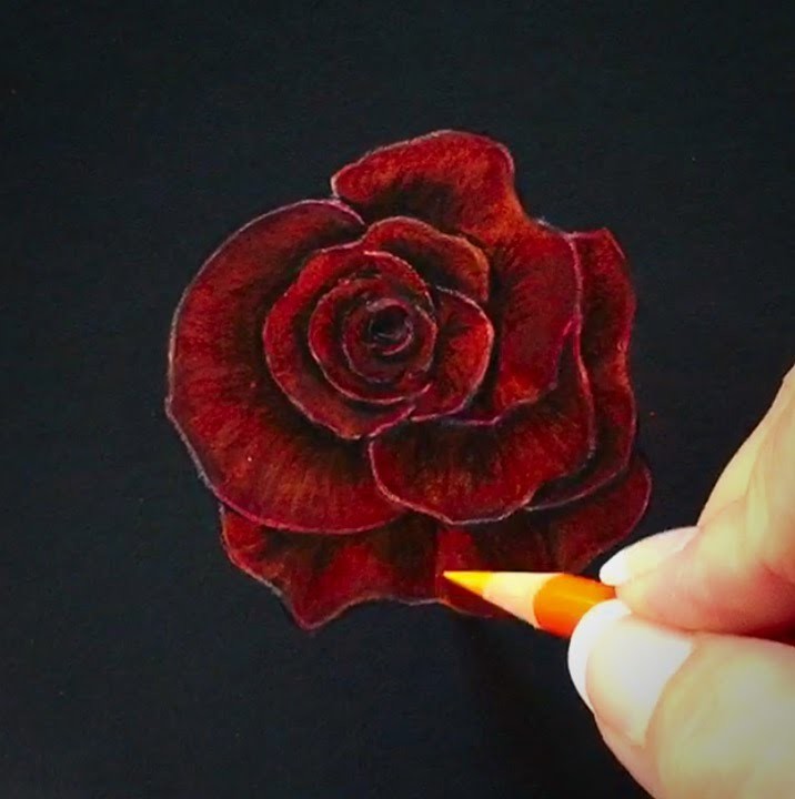 How to Draw a Rose Tutorial