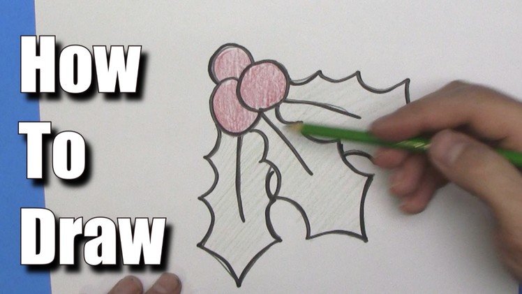 How to Draw Christmas Holly -Step by Step