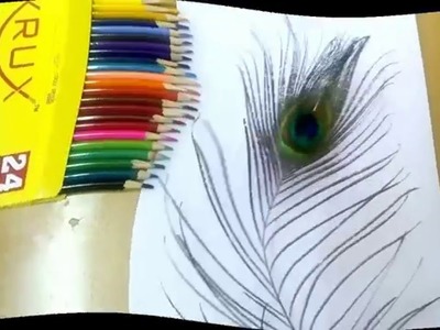 How to draw peacock feather