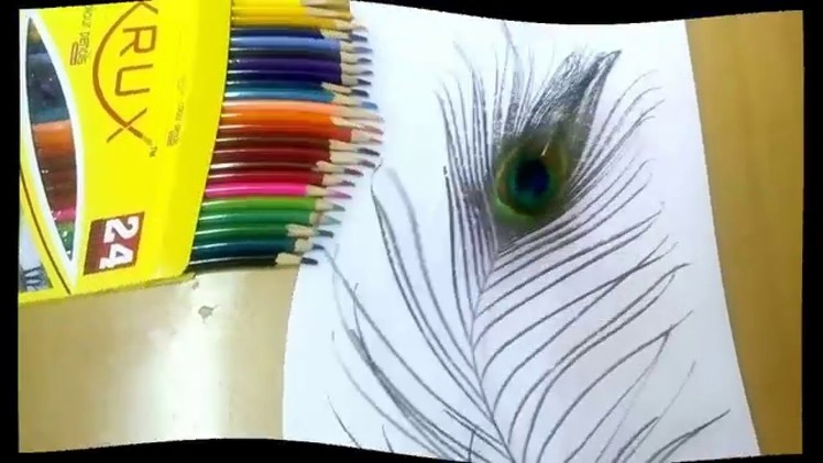 How to draw peacock feather