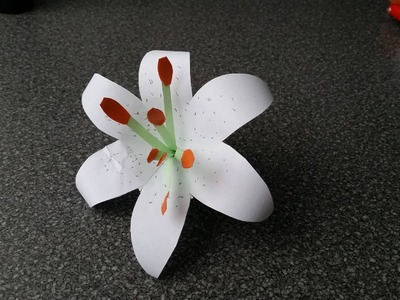 How to Make a paper Lily flower