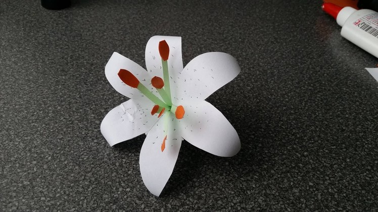 How to Make a paper Lily flower