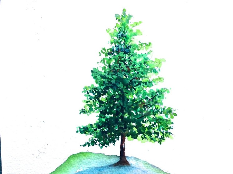 How to paint a Pine Tree with Watercolor, a Tutorial for beginners