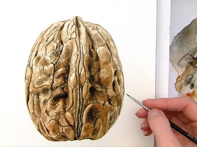 How to paint a realistic walnut in watercolor