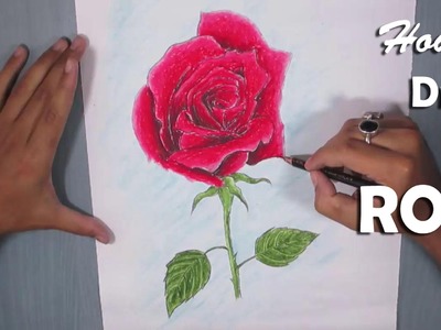 Rose Drawing | How to Draw a Red Rose with Oil Pastel