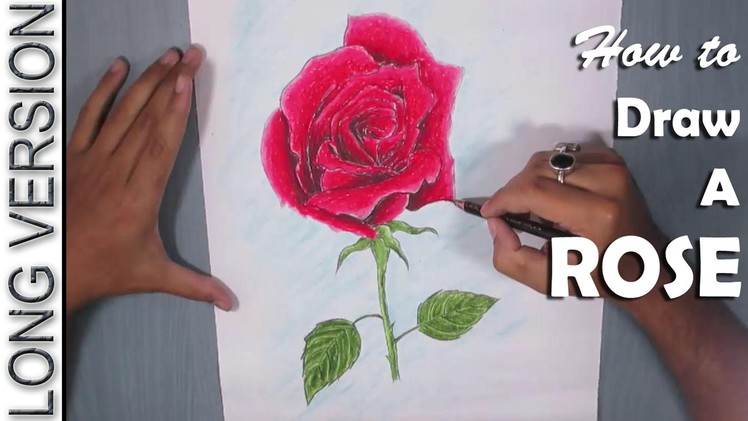 Rose Drawing | How to Draw a Red Rose with Oil Pastel