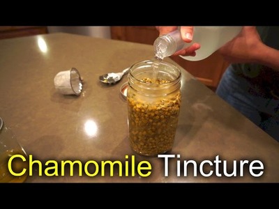 Chamomille Tincture - How we use and make it
