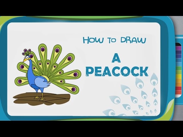 How to Draw a Peacock (Step by Step Guide) | Mocomi Kids