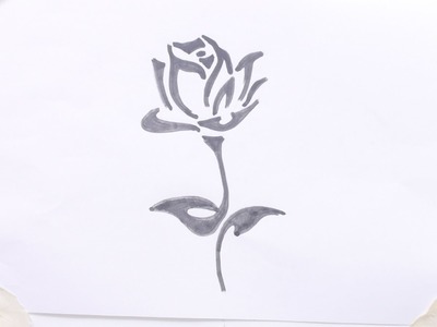 How to draw rose flower
