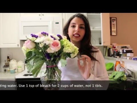 How to make flowers last longer - At Home with Reena