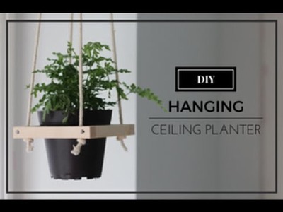 DIY: Hanging Ceiling Planter