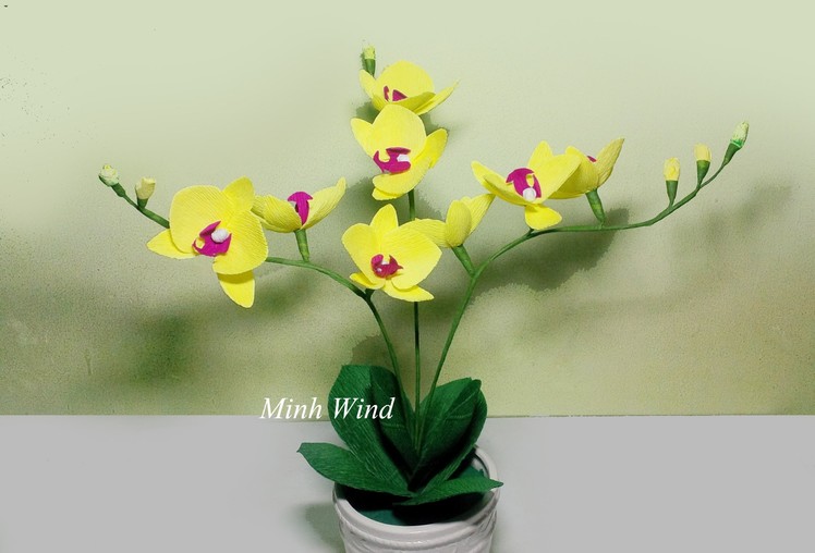 Orchid paper flower - Làm hoa lan hồ điệp giấy nhún