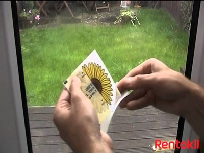 Rentokil DIY Advanced Fly Trap Window Sticker