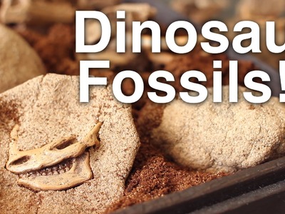 DIY Crack Open Dinosaur Fossils!!