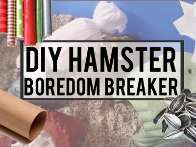 DIY Hamster Boredom Breaker