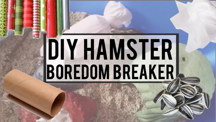 DIY Hamster Boredom Breaker