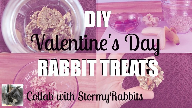DIY Valentine's Day Treat for Rabbits ♥Collab with StormyRabbits♥