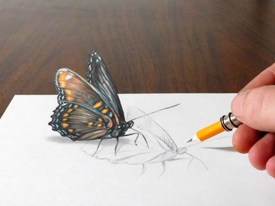 Drawing a Butterfly - Cool 3D Trick Art on Paper