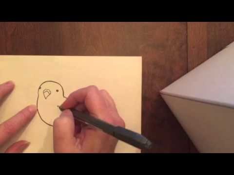 How to Draw a Fat Budgie