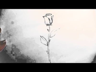 How to Draw a Long-Stem Rose