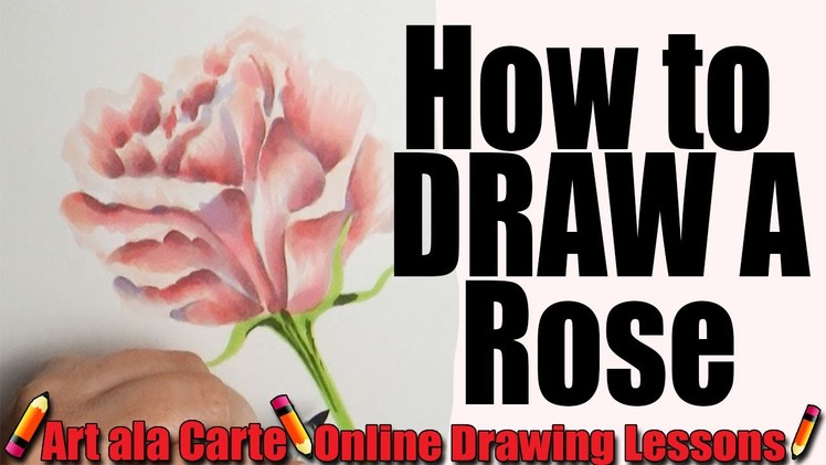How to draw a Rose (Advanced)