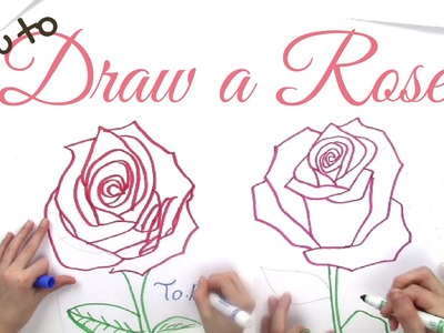How to Draw a Rose Step by Step for Kids