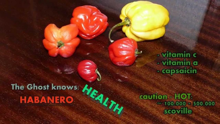 How to handle and cut habanero peppers ☻ Eine Habanero kleinschneiden