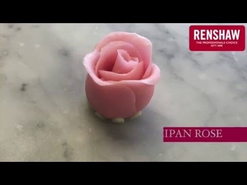 How to model a Marzipan Rose