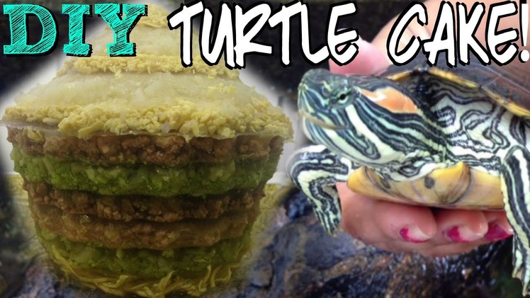 How i made my turtle's birthday cake! diy