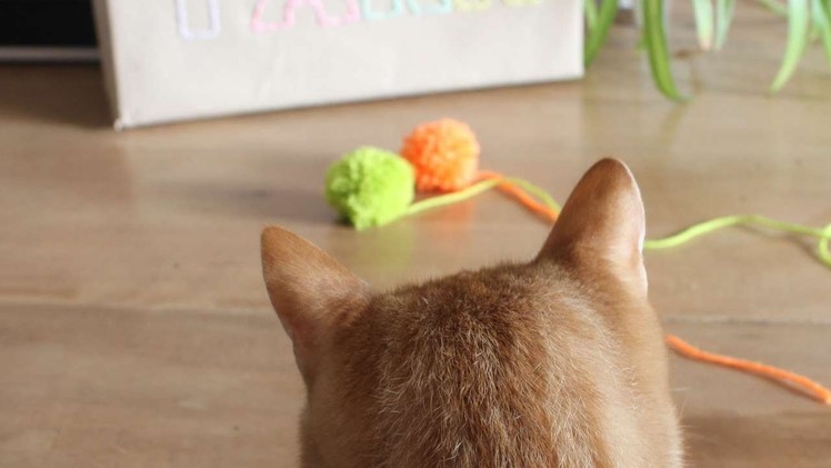 How To Make A Pom Pom Toy For Your Cat - DIY Crafts Tutorial - Guidecentral