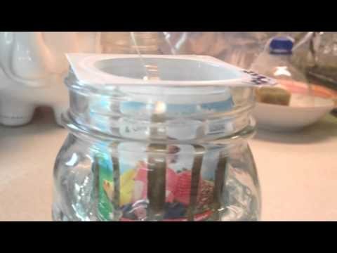 Mason Jar Hydroponics on the cheap DIY