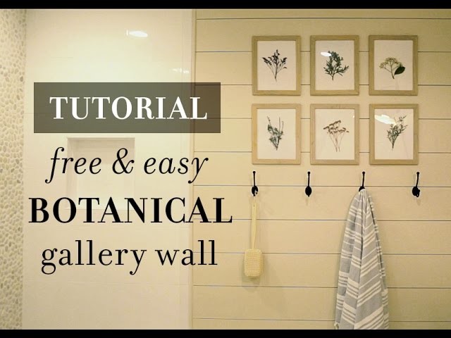 DIY Tutorial: Easy & Free Botanical Gallery Wall