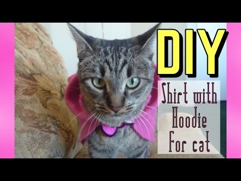 DIY Shirt with Hoodie for Cat