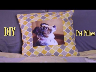 DIY Pet Pillow How to Penny Lane Pillow The Rachel Dixon Sewing Tutorial