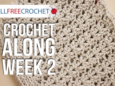 Crochet Along: Week 2 - Sides of the Bag