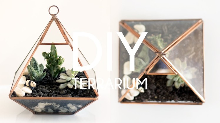 DIY Terrarium | Tumblr Plant Decor