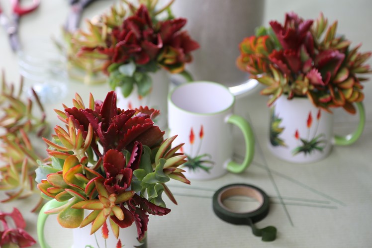 How to Make a Succulent Mug Bouquet