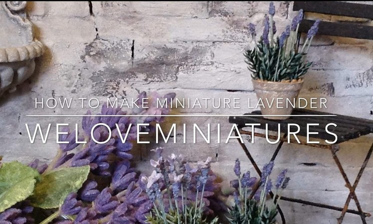 How to make miniature lavender