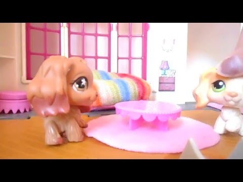 LPS How to Decorate the Insides of an Doll House {For 179 subscribers}