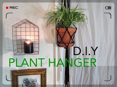 DIY Macrame Plant Hanger
