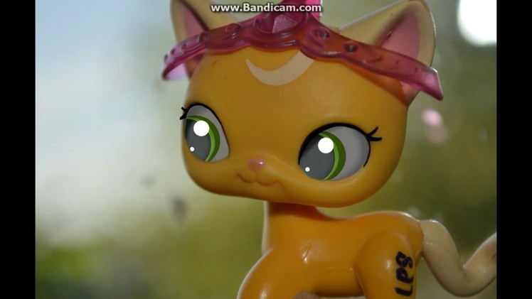 How I do the eyes for lps edits|PARADISELPS|