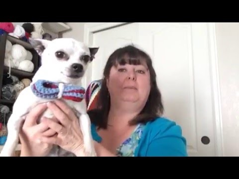 How to Crochet a Bowtie for your Dog