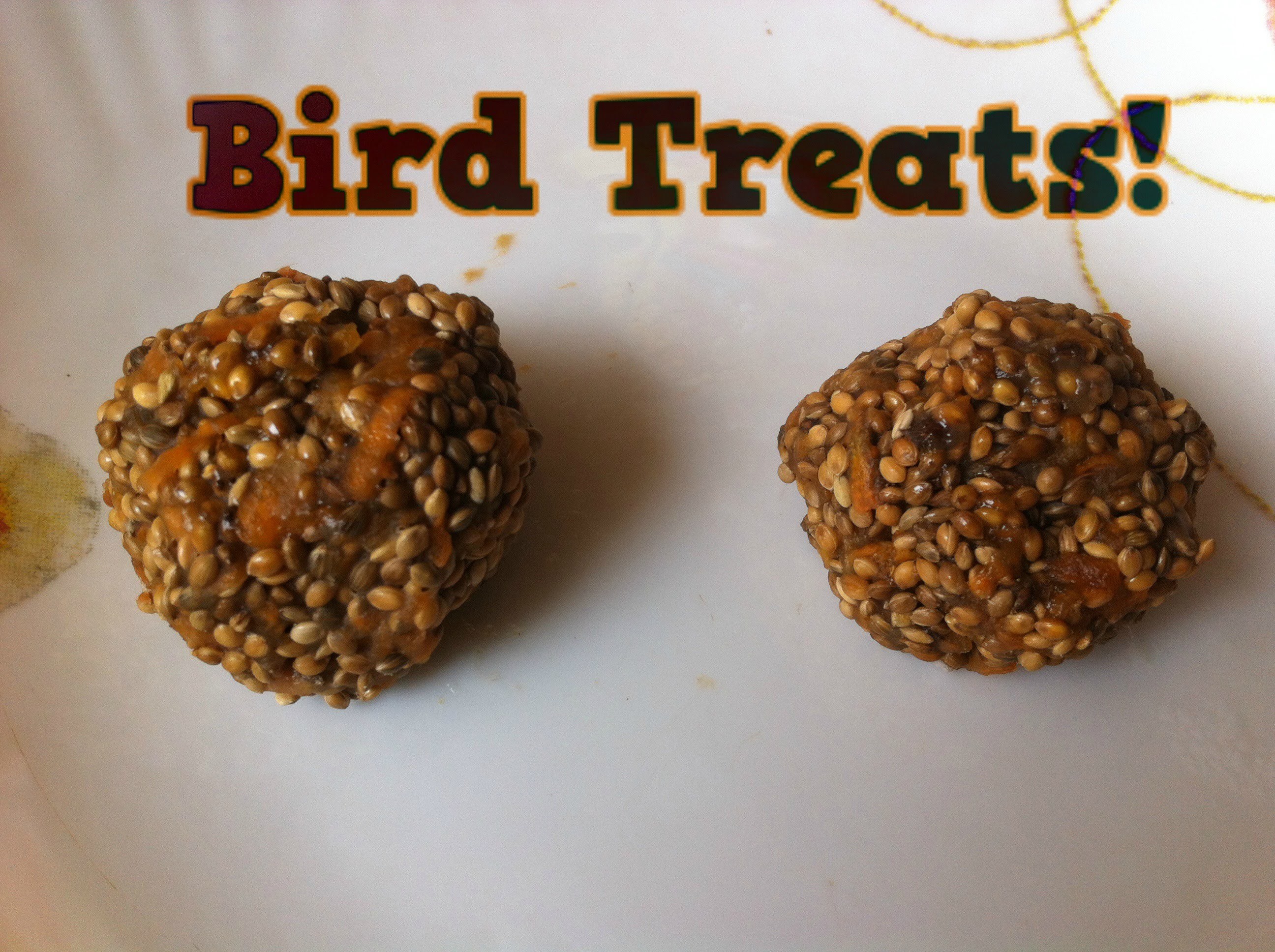 How to make easy Homemade Bird Food.treats Bird food for budgies